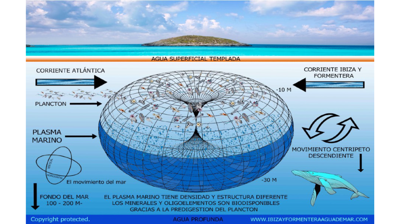 Agua de Mar EFNE – Ibiza y Formentera | Remineralización Natural