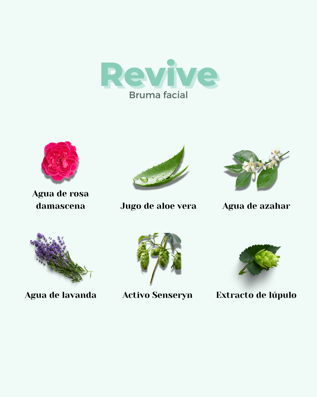 Tónico para Pieles Secas y Sensibles REVIVE