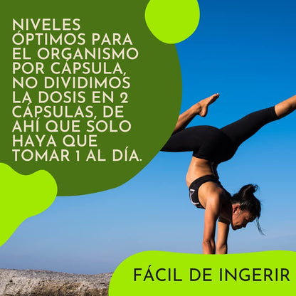 MULTISALUD PRO EFNE – Vitaminas y Minerales para Vitalidad Diaria