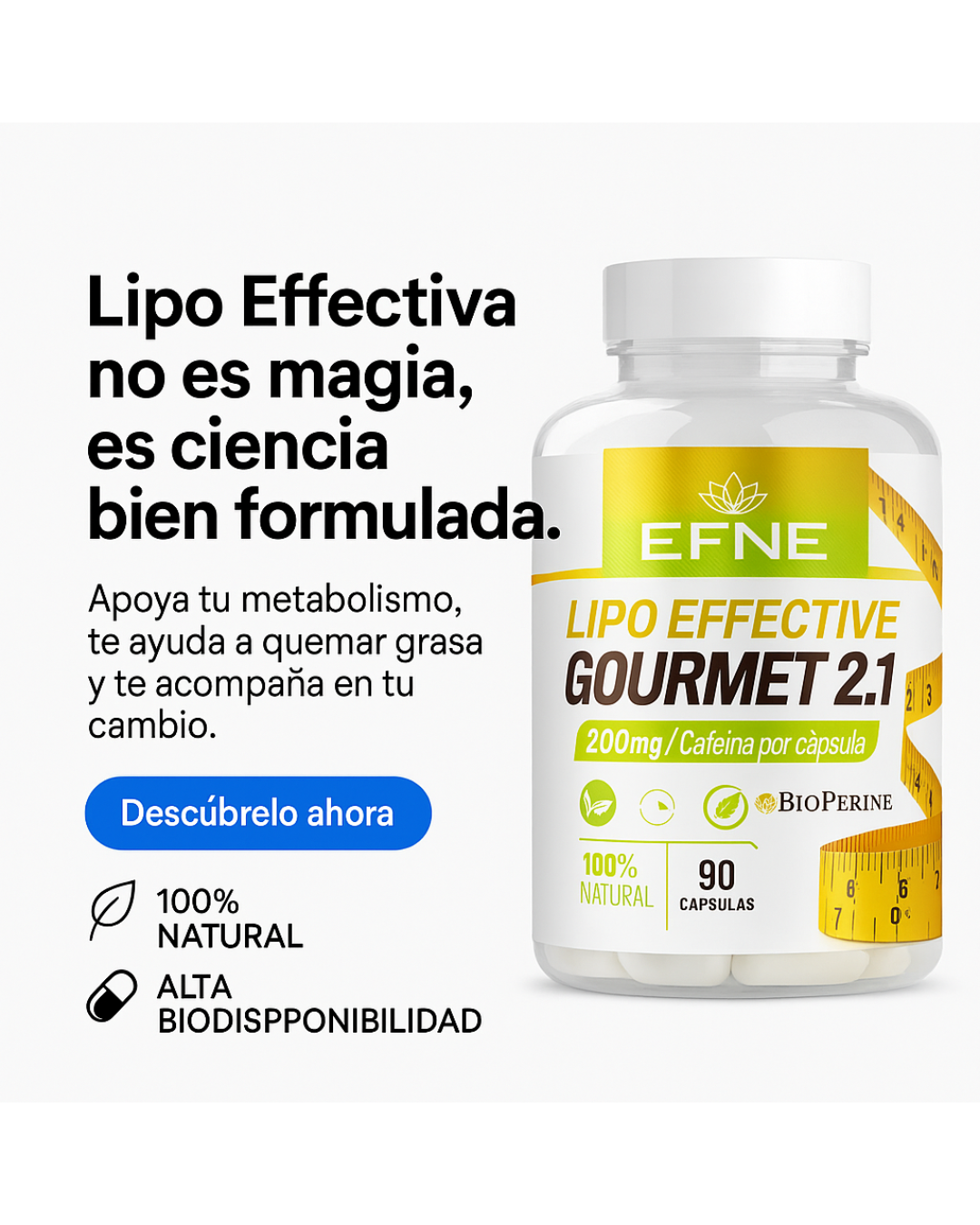 LIPO EFFECTIVE GOURMET 2.1 90CAP