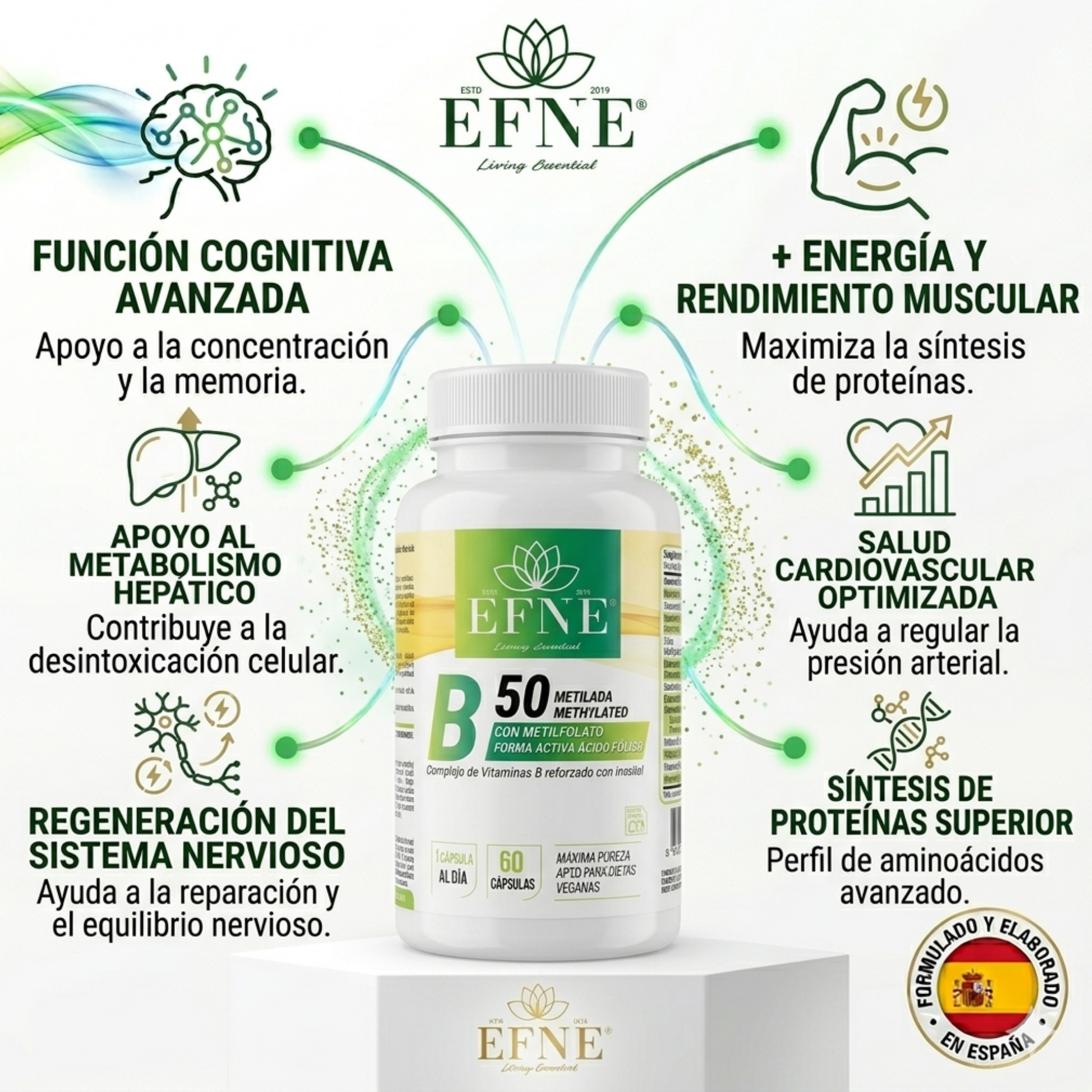 BENEFICIOS VITAMINA B50 EFNE
