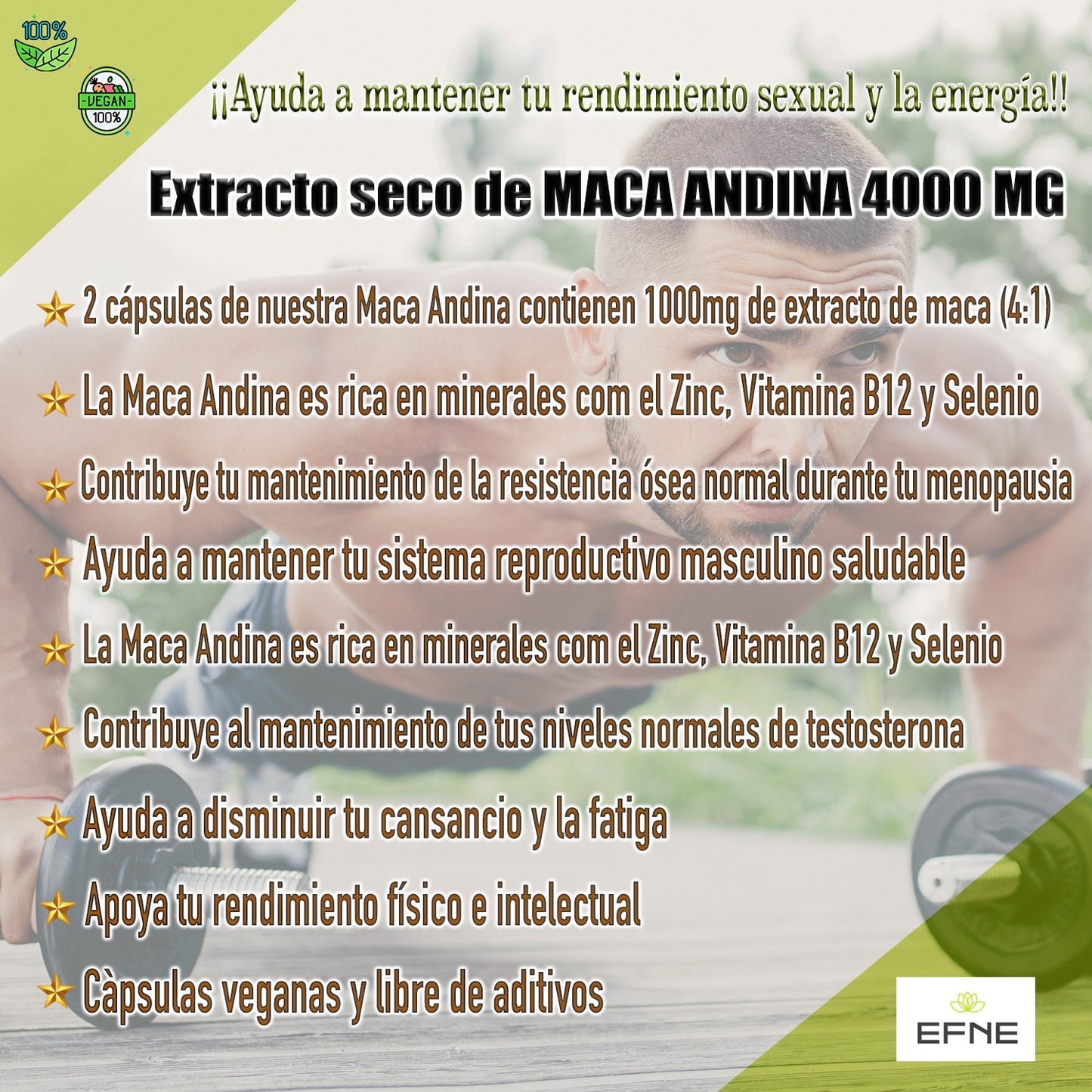Maca Andina 4.1 equivalente a 2000 mg en planta