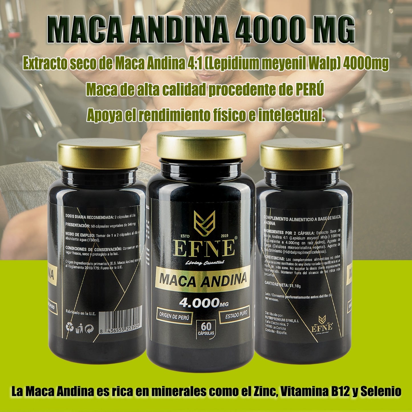 Maca Andina 4.1 equivalente a 2000 mg en planta
