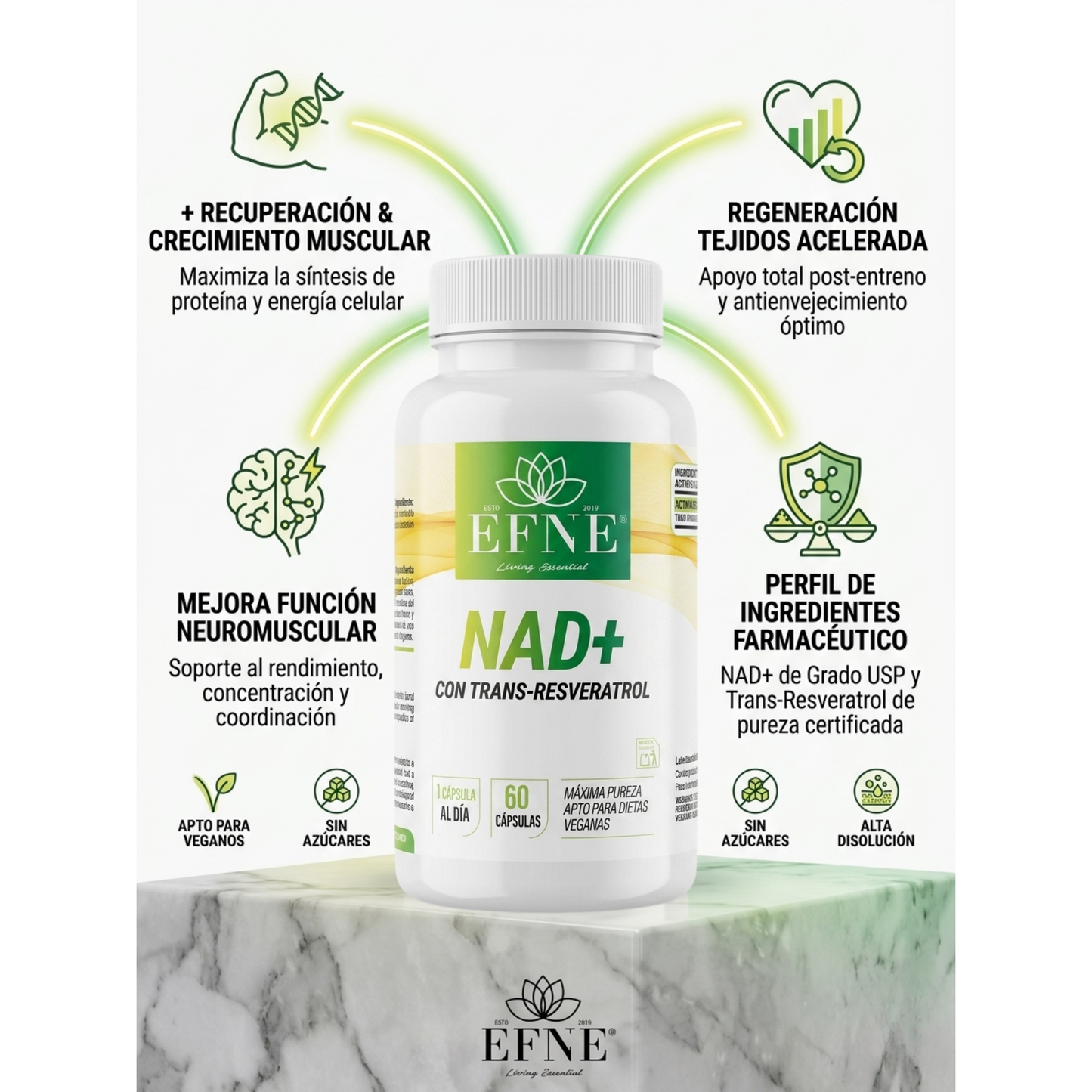 EFNE NAD con Trans-Resveratrol: El Activador de Longevidad para Quienes Viven al Máximo después de los 40