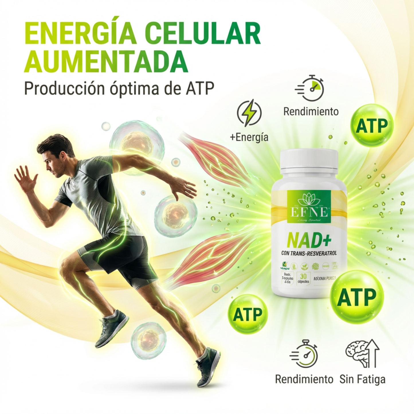 Cápsulas de NAD y Trans-Resveratrol | Fórmula premium de EFNE para el envejecimiento saludable