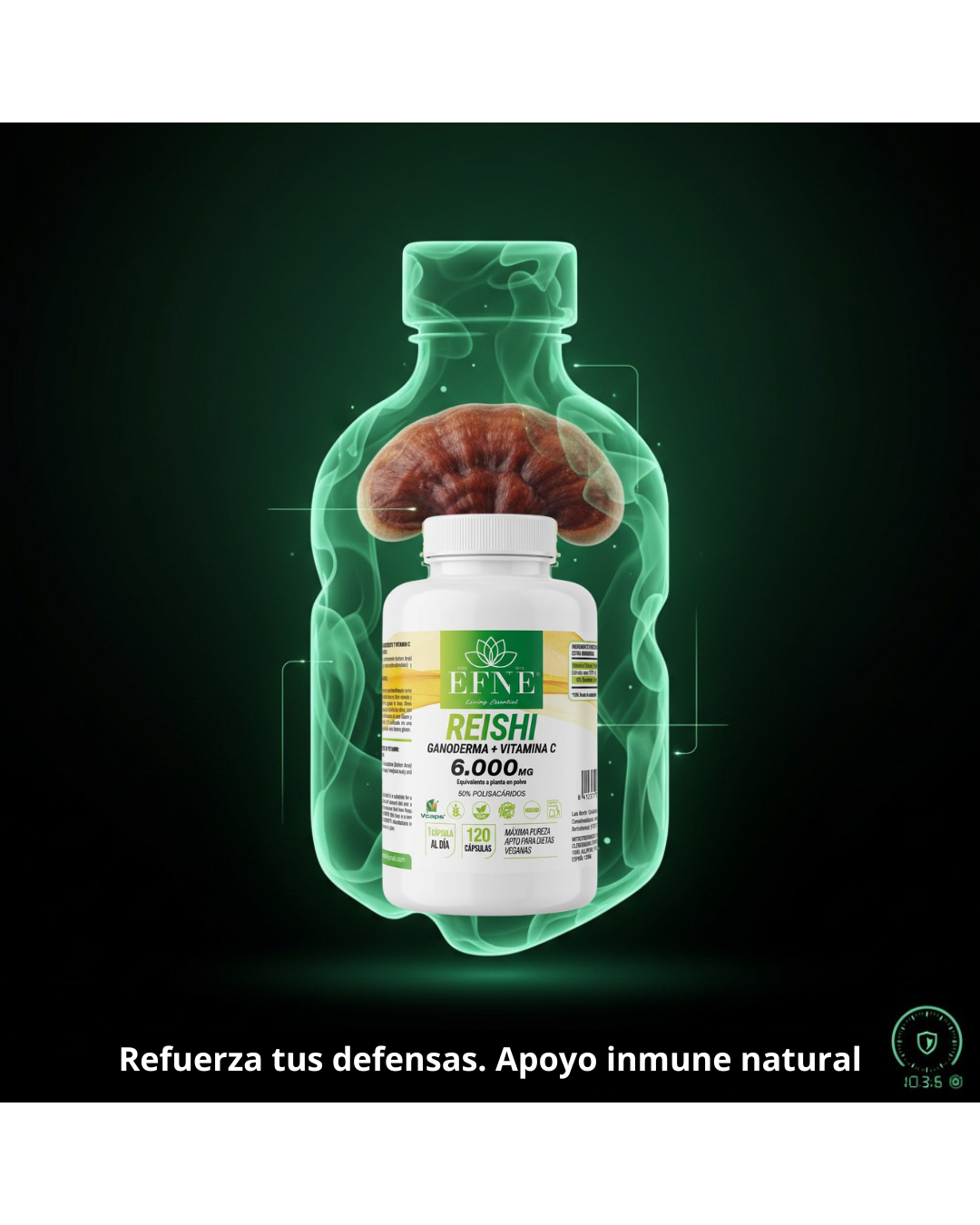Reishi Ganoderma 6.000mg + Vitamina C: Refuerza Inmunidad y Controla el Estrés