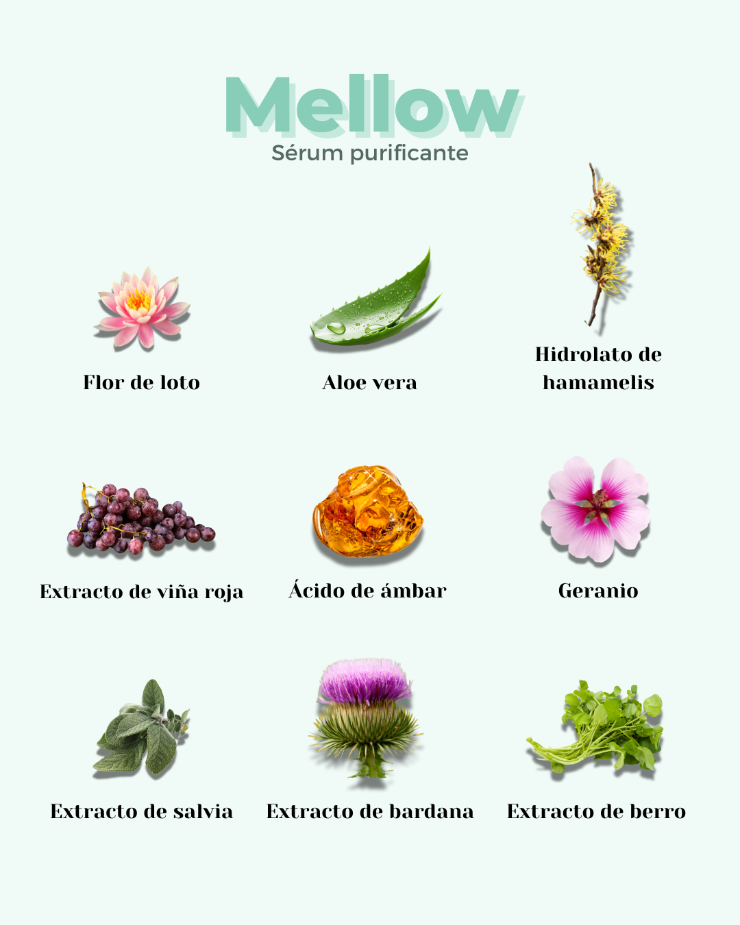 Sérum Facial ECO Purificante MELLOW