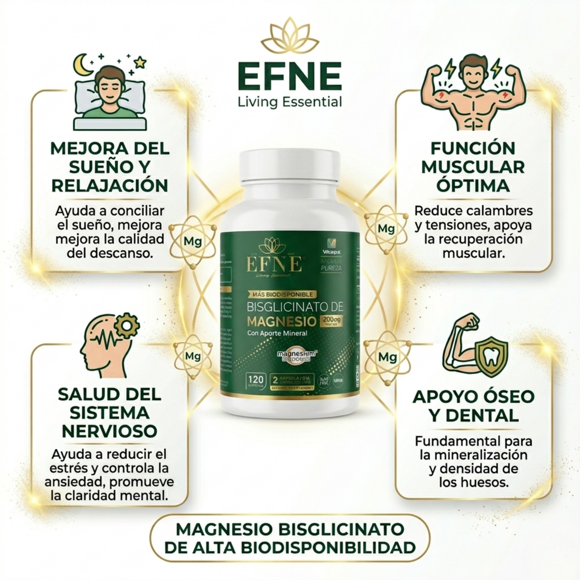 beneficios bisglicinato de magnesio efne