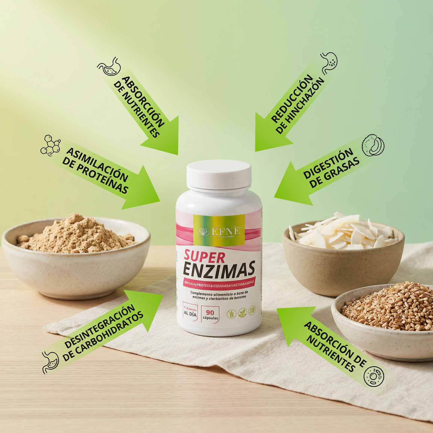 enzimas digestivas efne