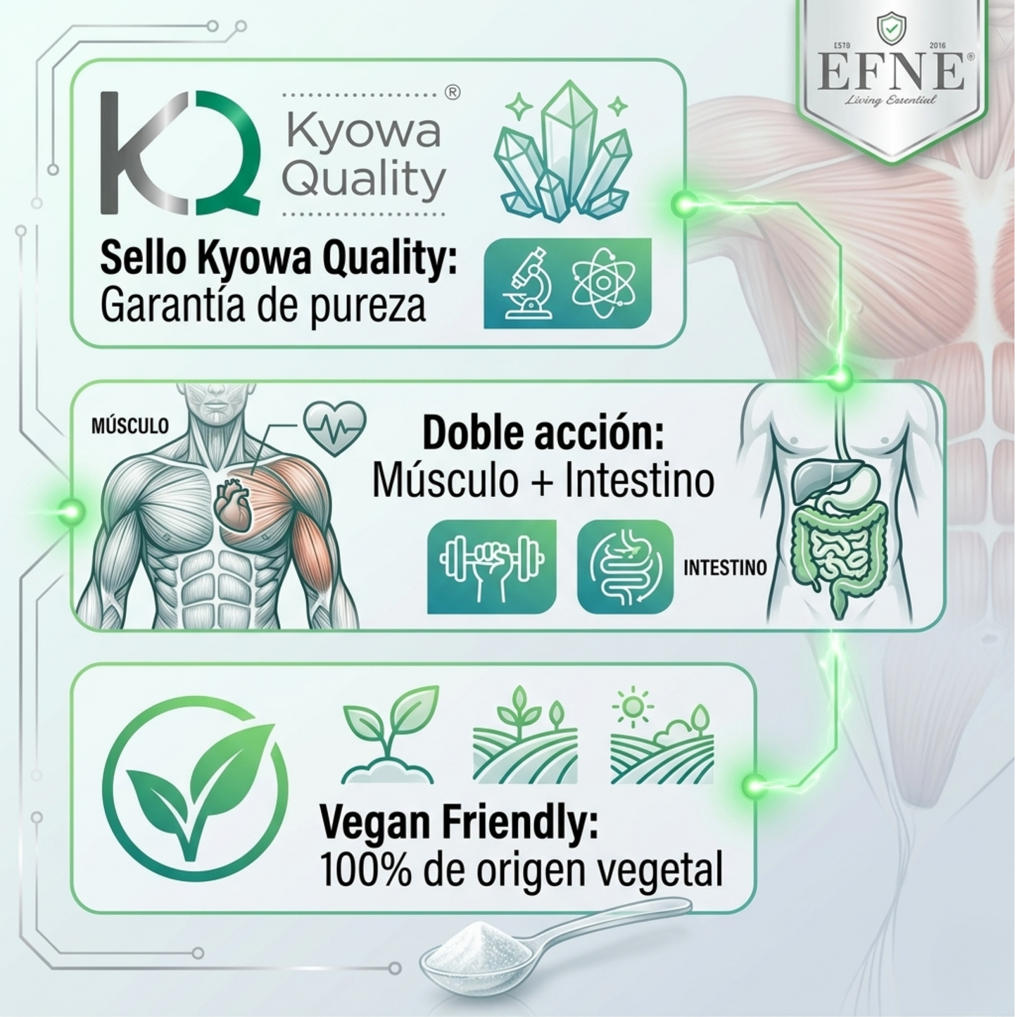 Detalle técnico L-Glutamina pura con sello Kyowa Quality y acción dual para la protección del músculo y reparación de la barrera intestinal.